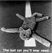 Hi!  I'm Earl the Dead Cat. Who are you?